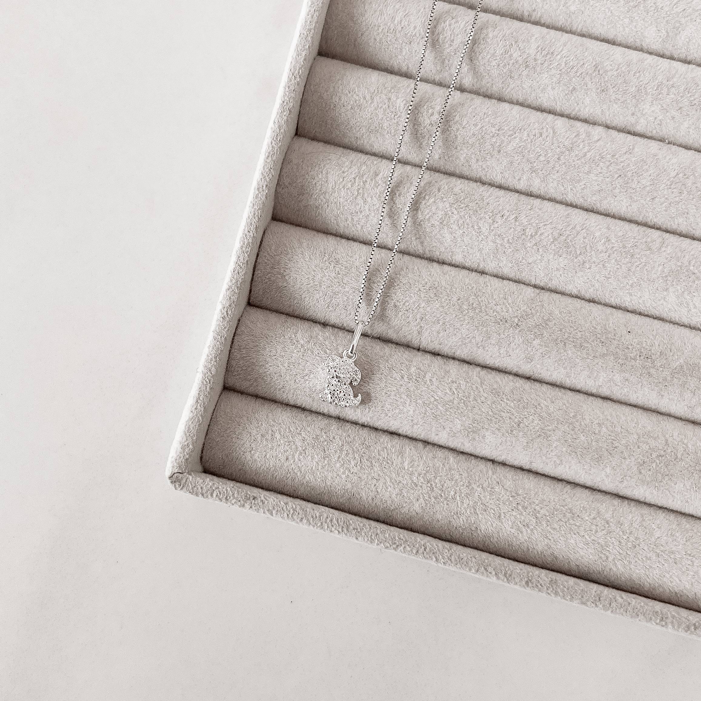 Imagem Secundária Colar pingente cachorro cravejado 9mm 45cm